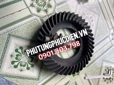 Cùi dĩa HD65 6x40 HD65 HD72